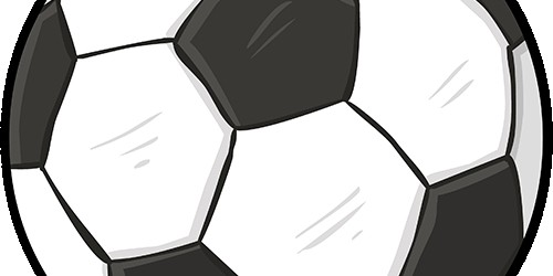 开云体育官网登录-2025赛季主客场全勤！这位成都蓉城女球迷“解锁”独一份荣誉丨封面头条