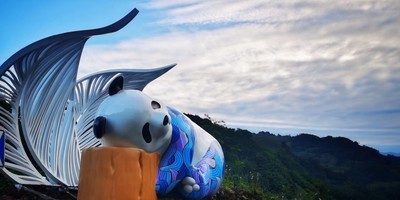 官宣！“川超”雅安队队名、队徽正式确定！