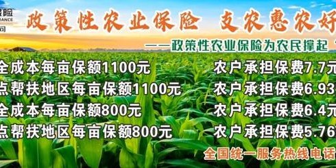 开云体育手机登录-破圈！乐山教师走出校园、站上国际赛场，国家体育总局为他点赞